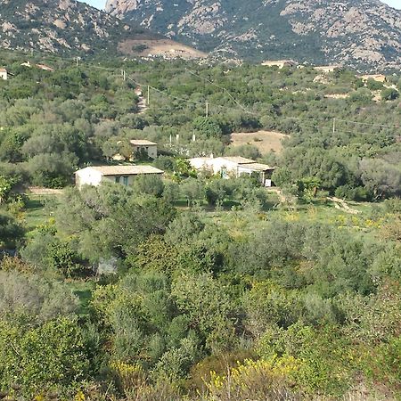 אולביה Agriturismo Agrisole מראה חיצוני תמונה