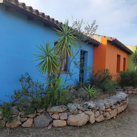 אולביה Agriturismo Agrisole מראה חיצוני תמונה