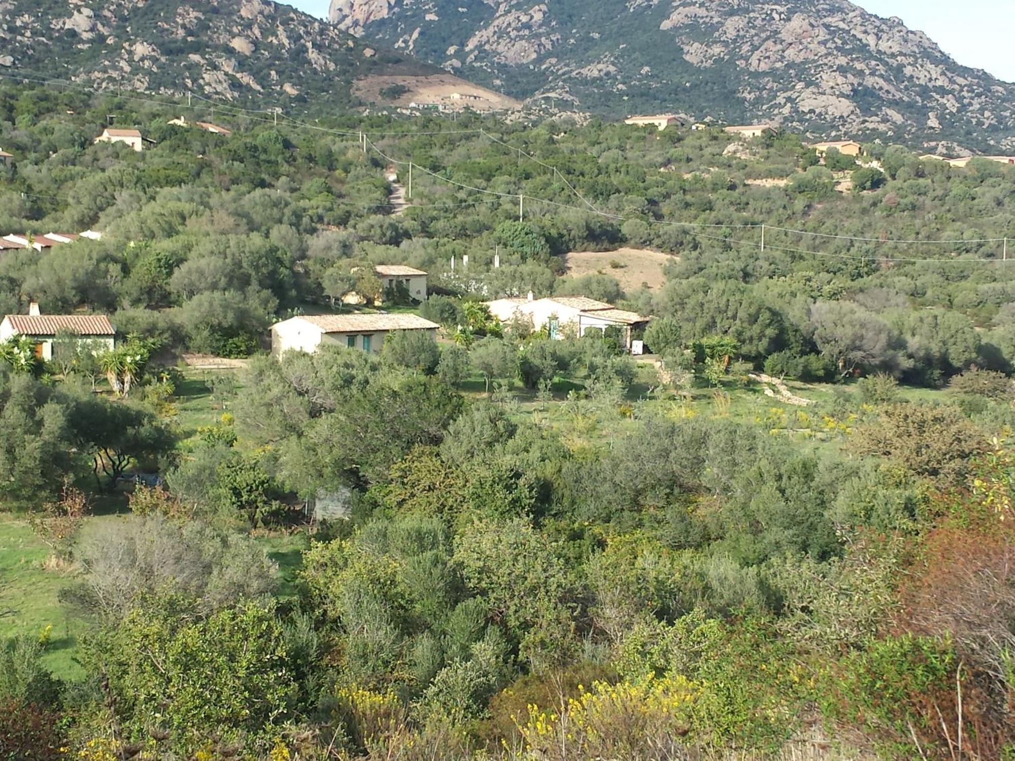 אולביה Agriturismo Agrisole מראה חיצוני תמונה
