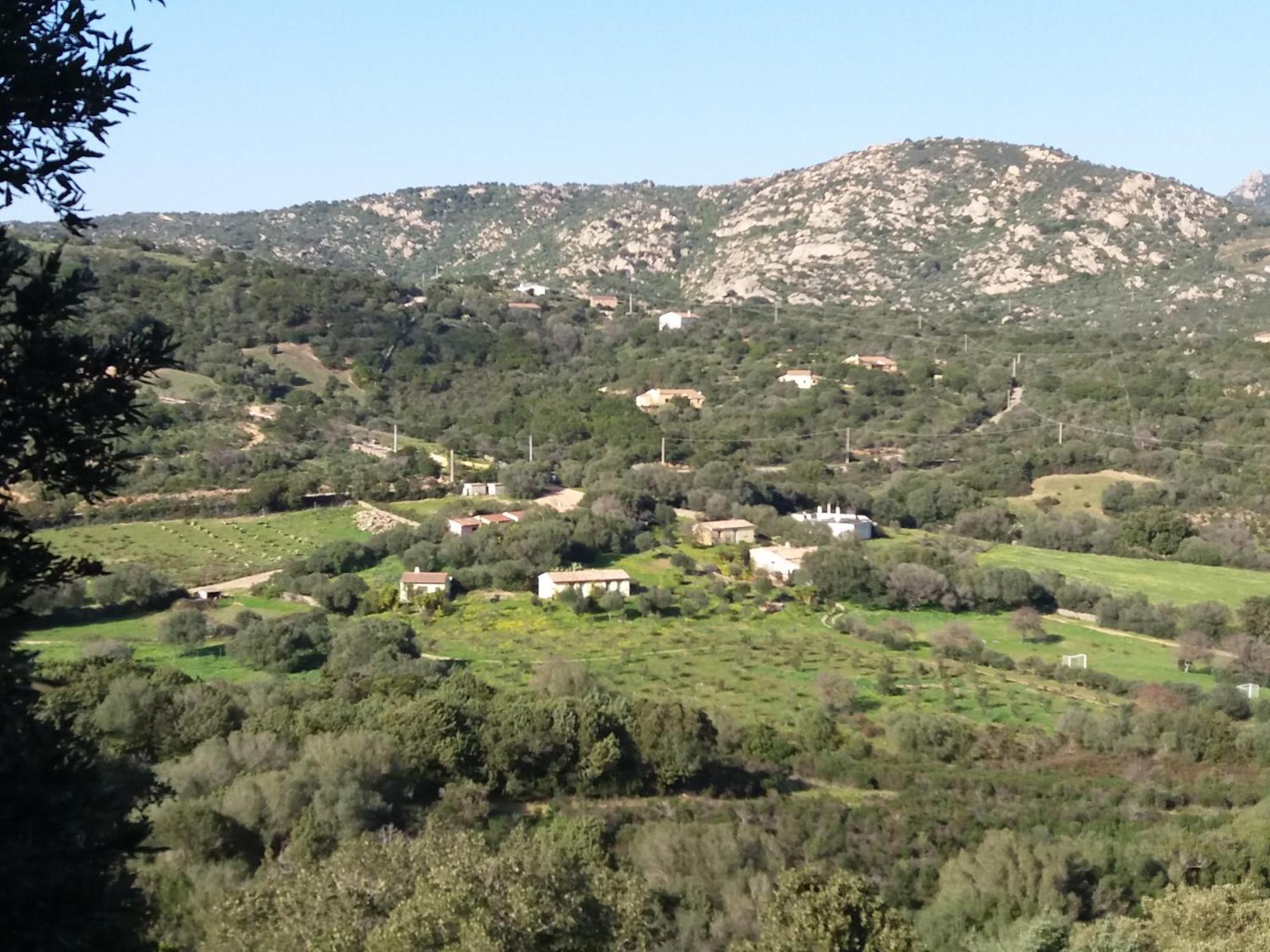 אולביה Agriturismo Agrisole מראה חיצוני תמונה