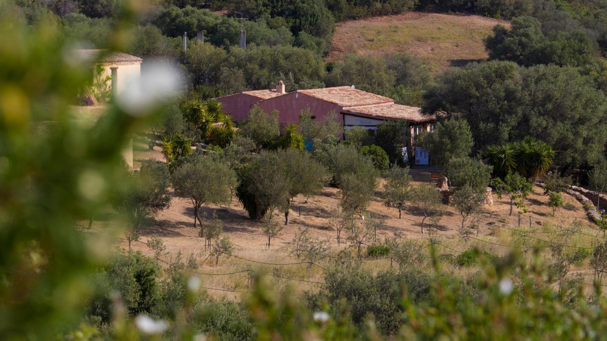 אולביה Agriturismo Agrisole מראה חיצוני תמונה