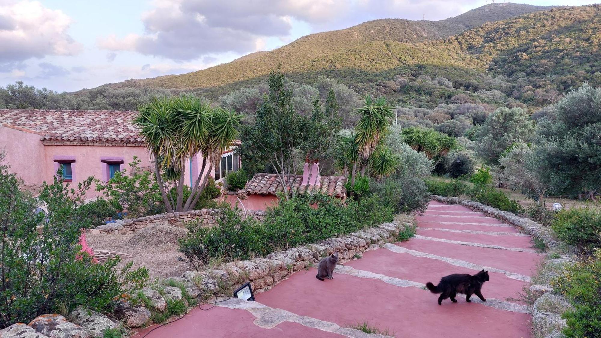 אולביה Agriturismo Agrisole מראה חיצוני תמונה