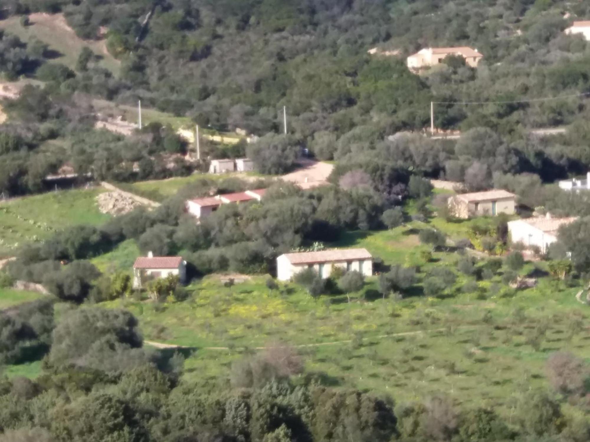 אולביה Agriturismo Agrisole מראה חיצוני תמונה