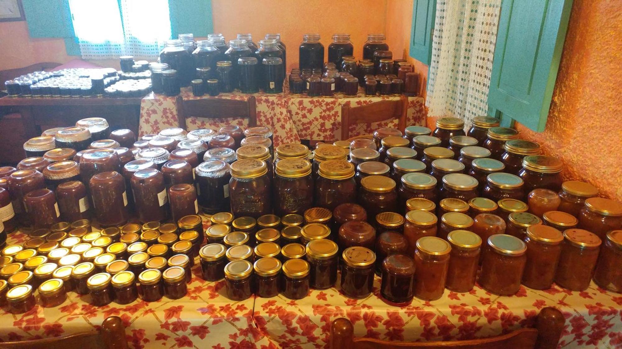 אולביה Agriturismo Agrisole מראה חיצוני תמונה