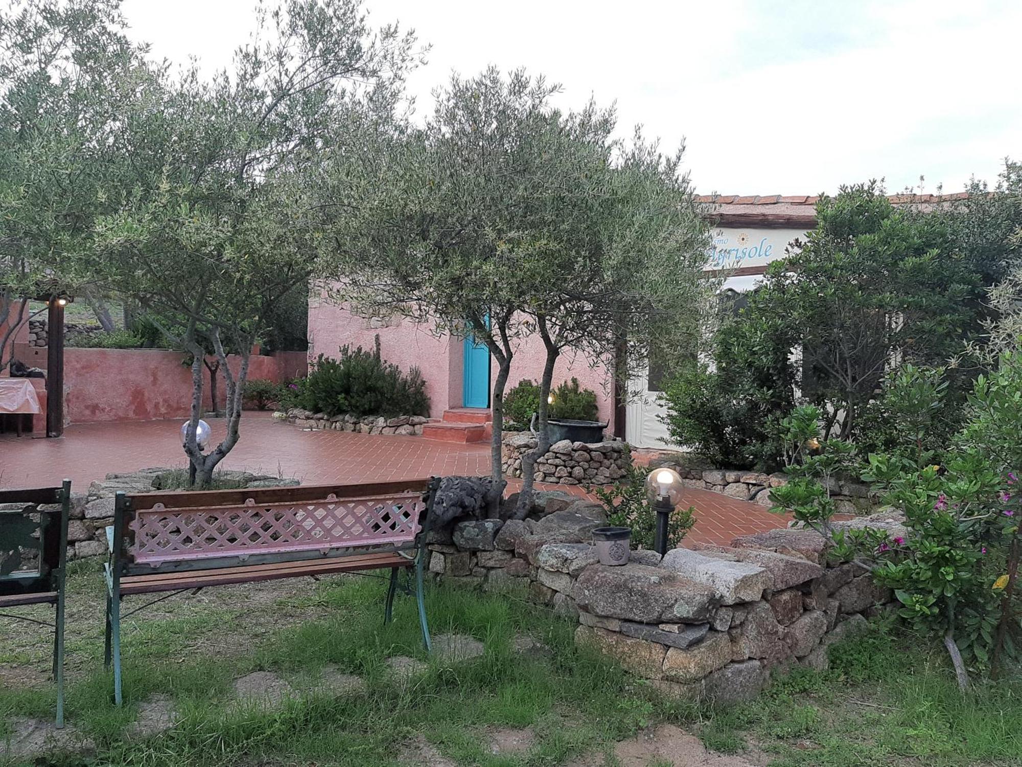 אולביה Agriturismo Agrisole מראה חיצוני תמונה