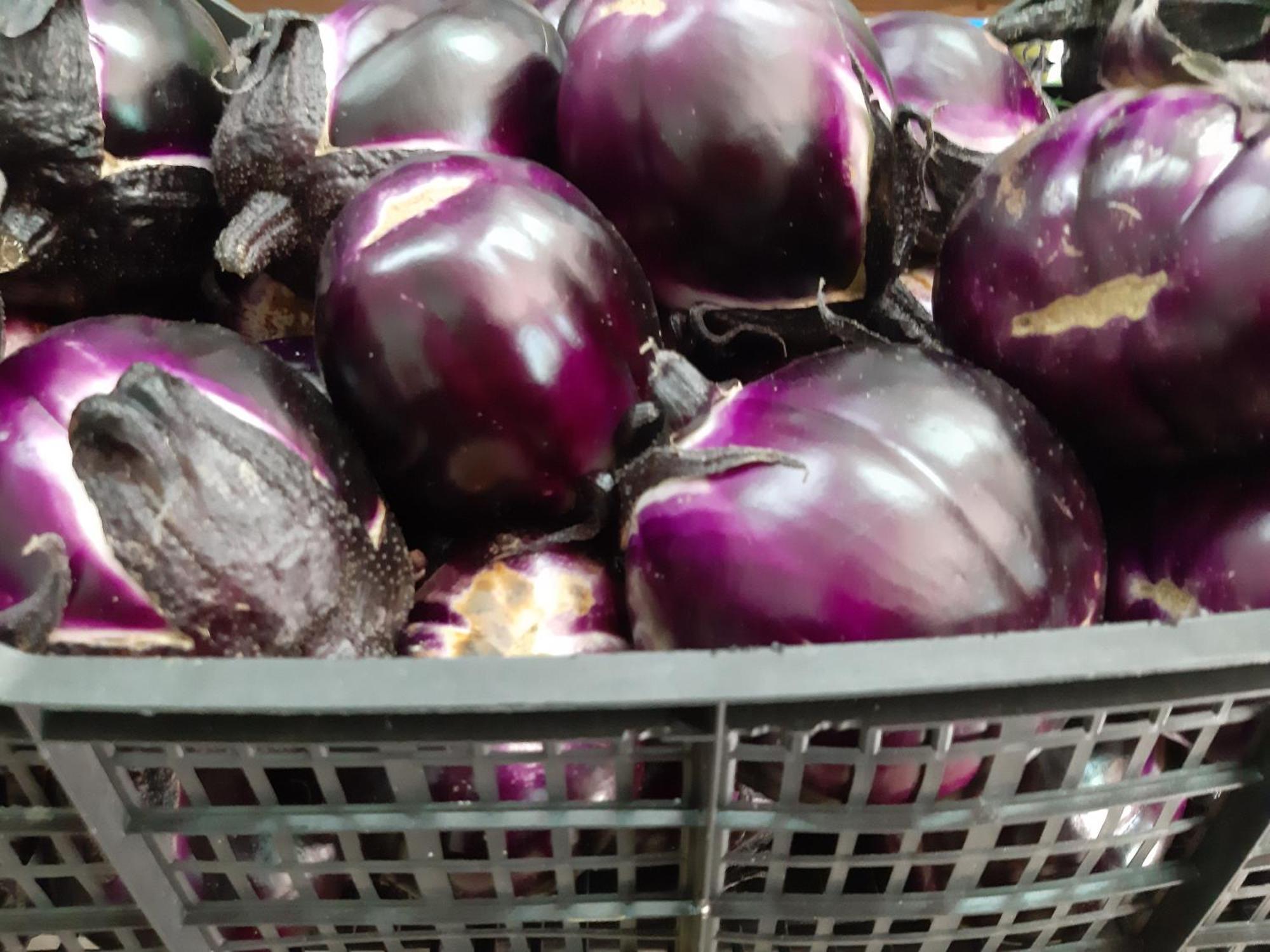 אולביה Agriturismo Agrisole מראה חיצוני תמונה